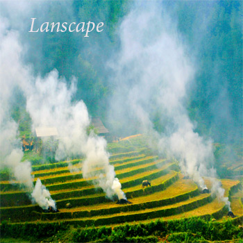 Lanscape