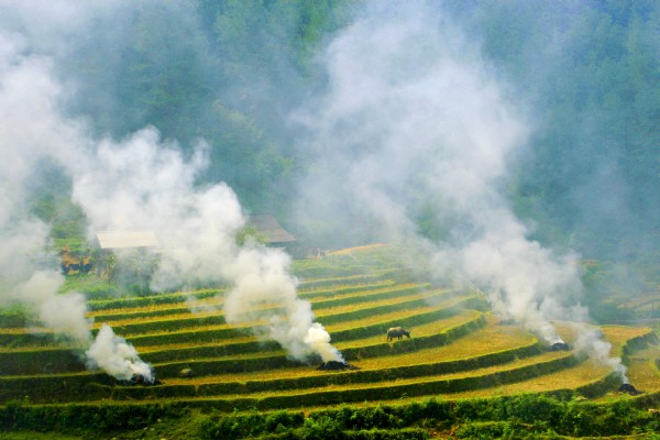 Lanscape