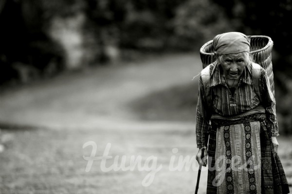 The way of life