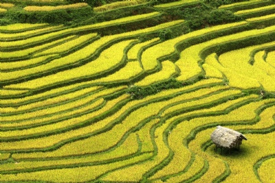 Sapa tour